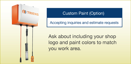 Custom Paint (Option)